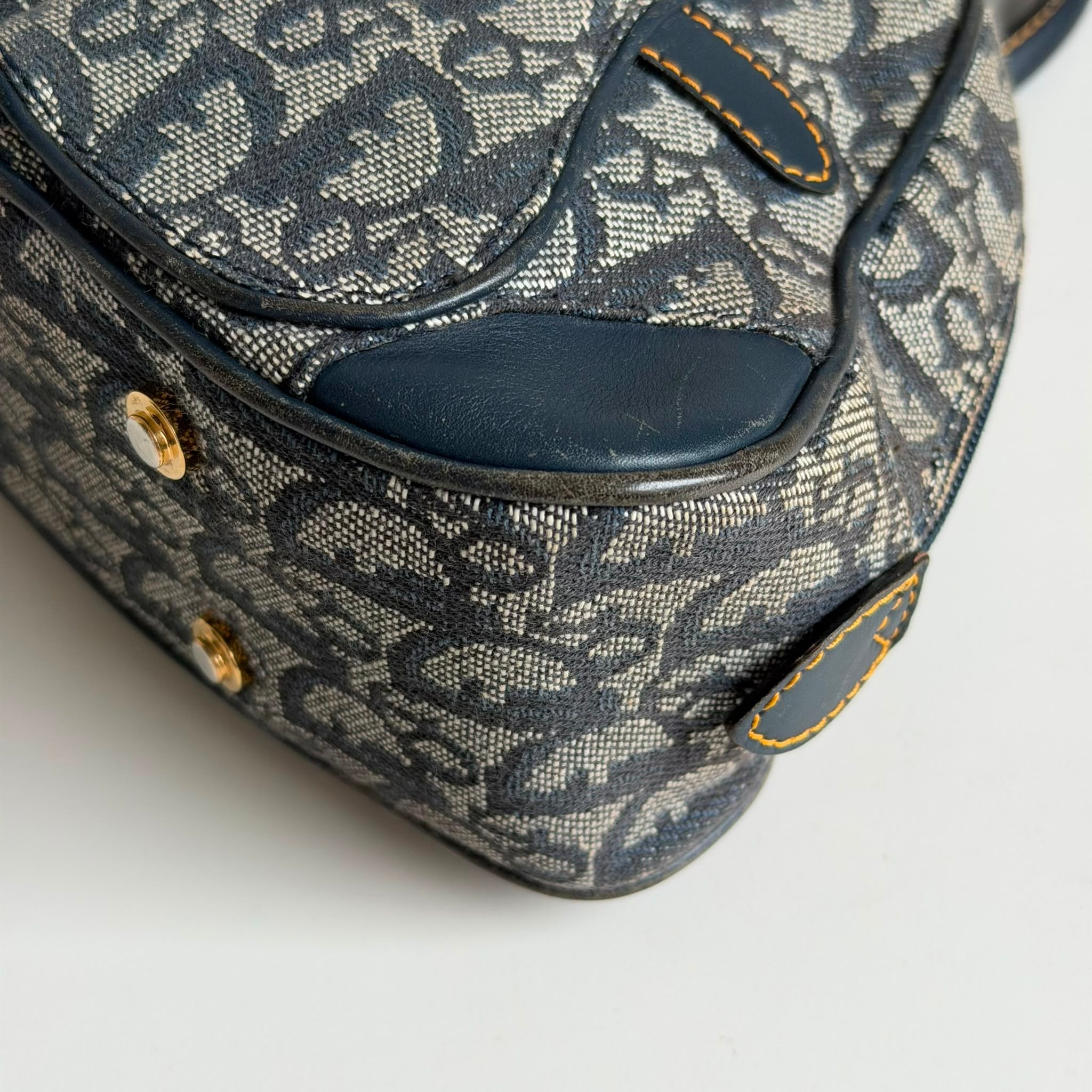 Dior Saddle