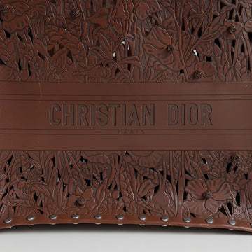 Dior Book Tote
