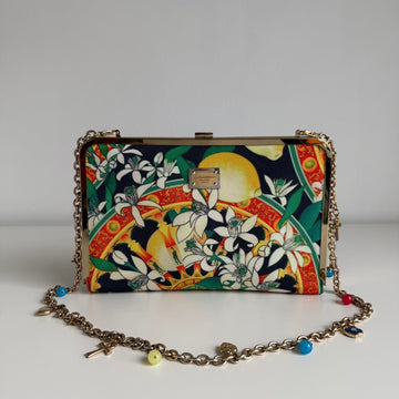 Dolce e Gabbana Clutch