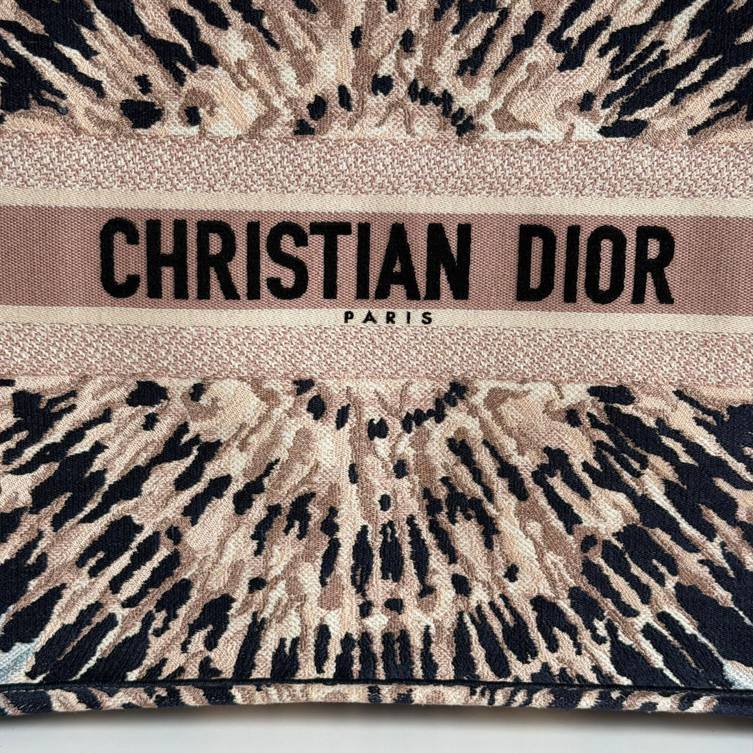 Dior Book Tote