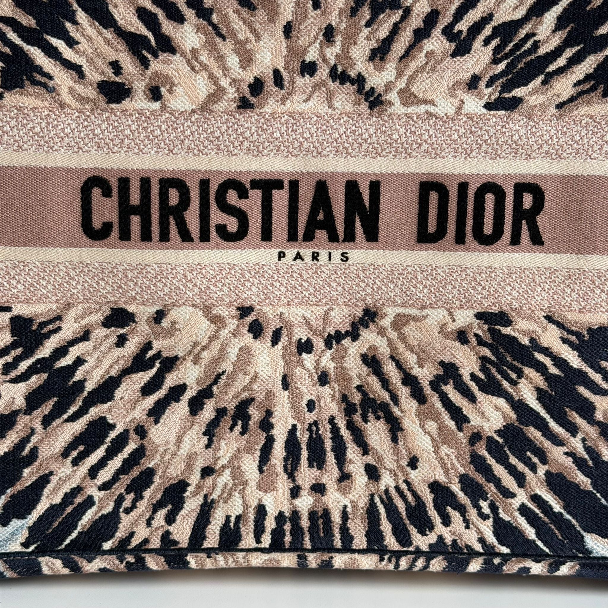Dior Book Tote