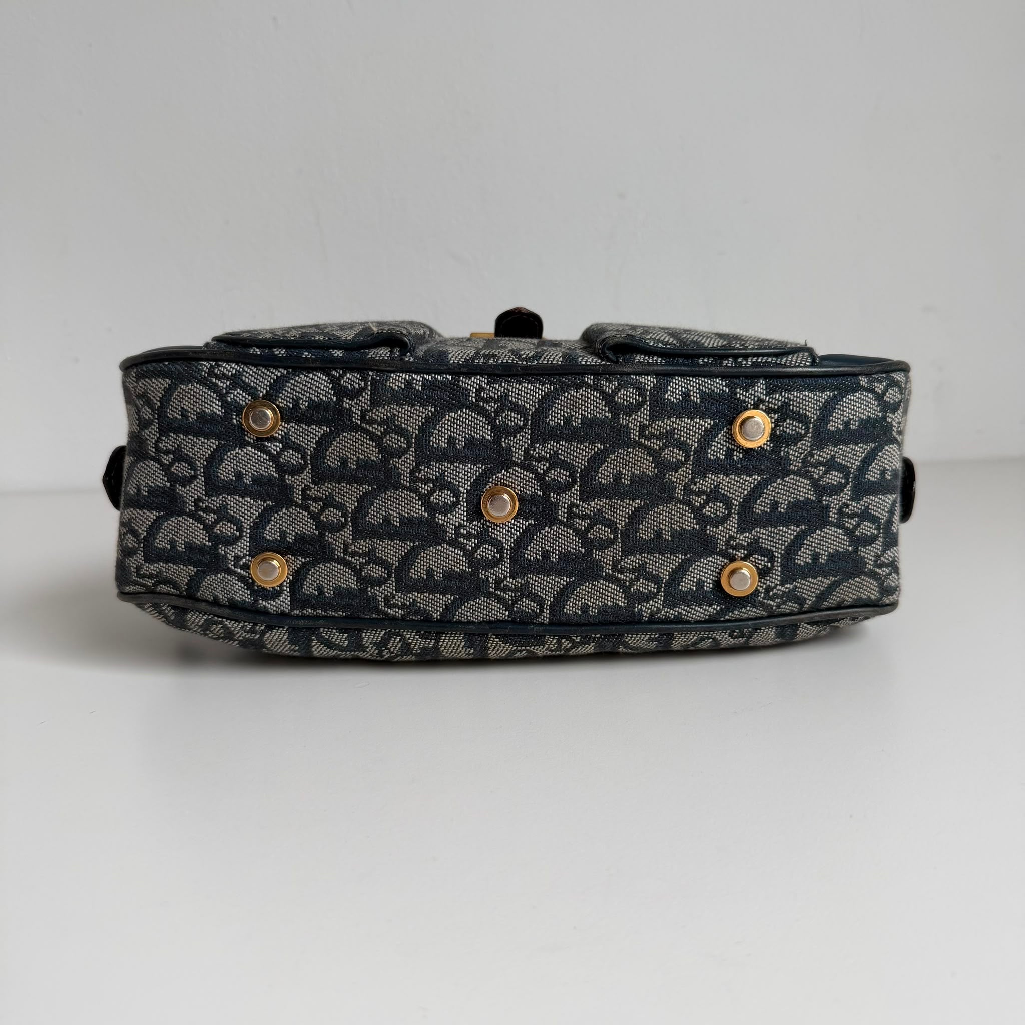 Dior Saddle
