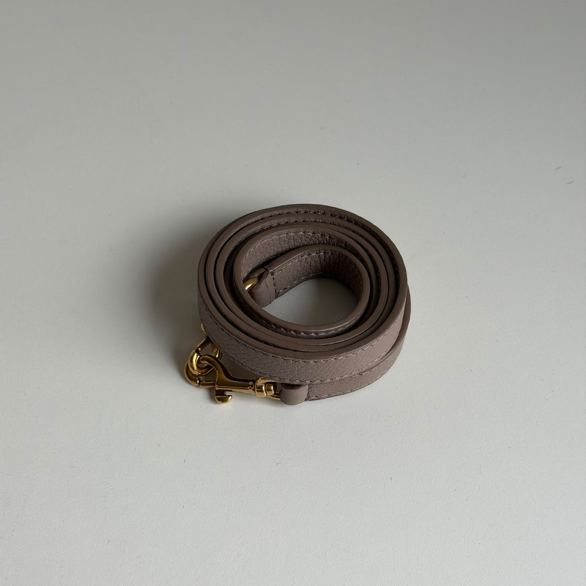 Balenciaga Rodeo