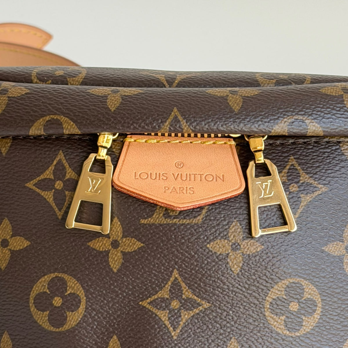 Louis Vuitton Bumbag